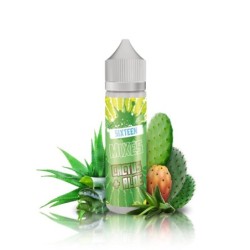 Mix Sixteen Mixes Cactus Aloe 40/60ml